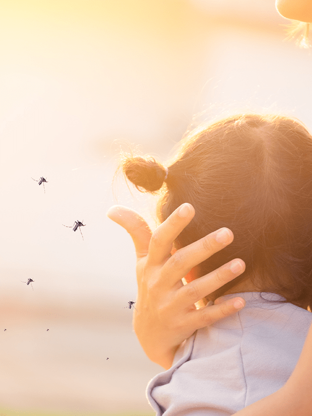 작년에 다녀간 그놈이 또 왔다