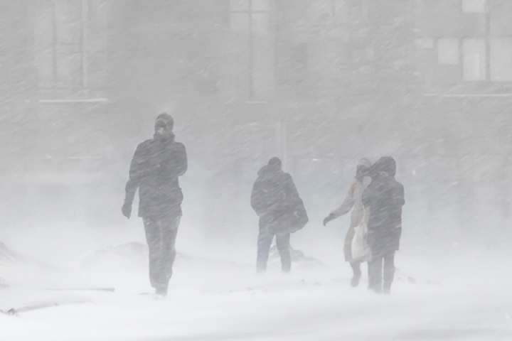 살인적인 추위!!! 건 강 주 의 보