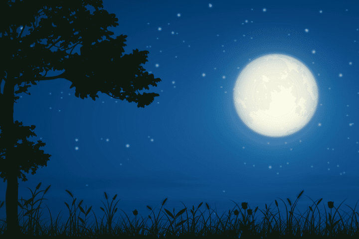 정월대보름이 뭐야~? 부럼은 뭐고? 더위는 왜 팔지?